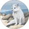 William Lovick Avatar