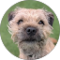 Ryan Walker Avatar