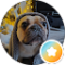 Paul Webb Avatar